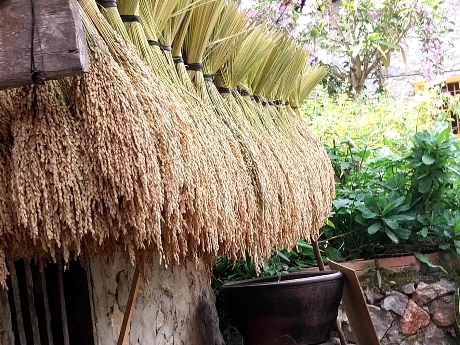 Trieu Hoan Homestay Као Банг Екстериор снимка